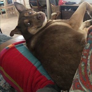 Meet your Posher, Mark